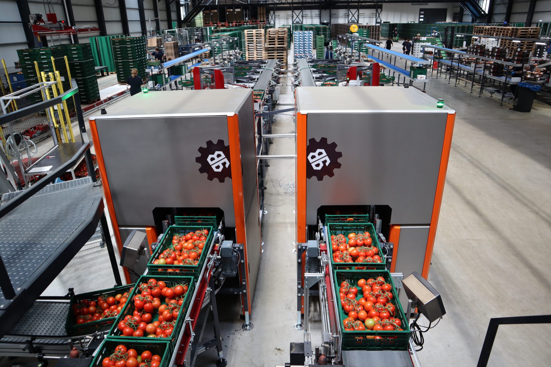 Sorteerinstallatie van TAKS Handling Systems met tomaten