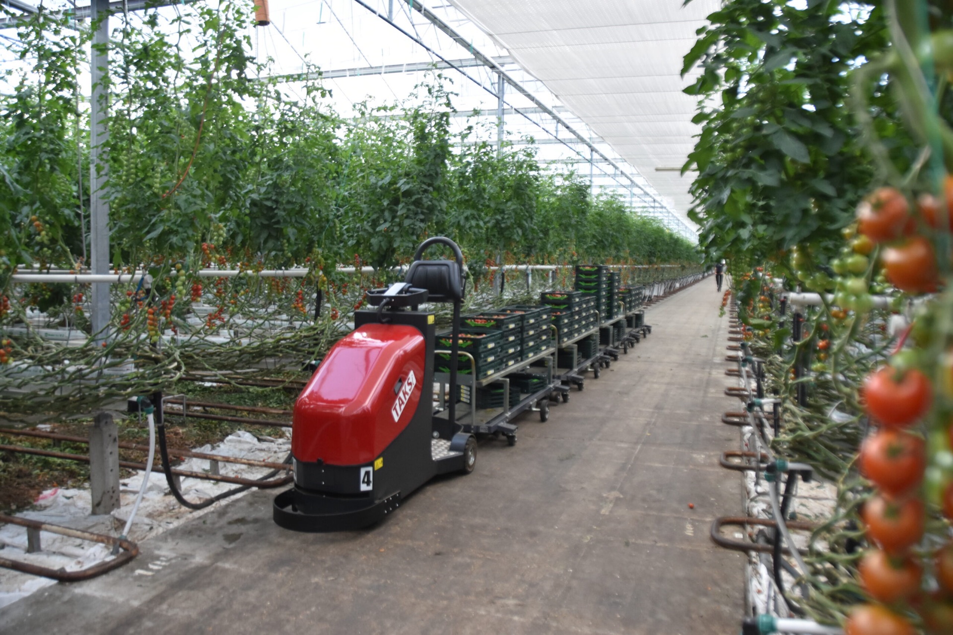 TAKS transportrobot in de glastuinbouw